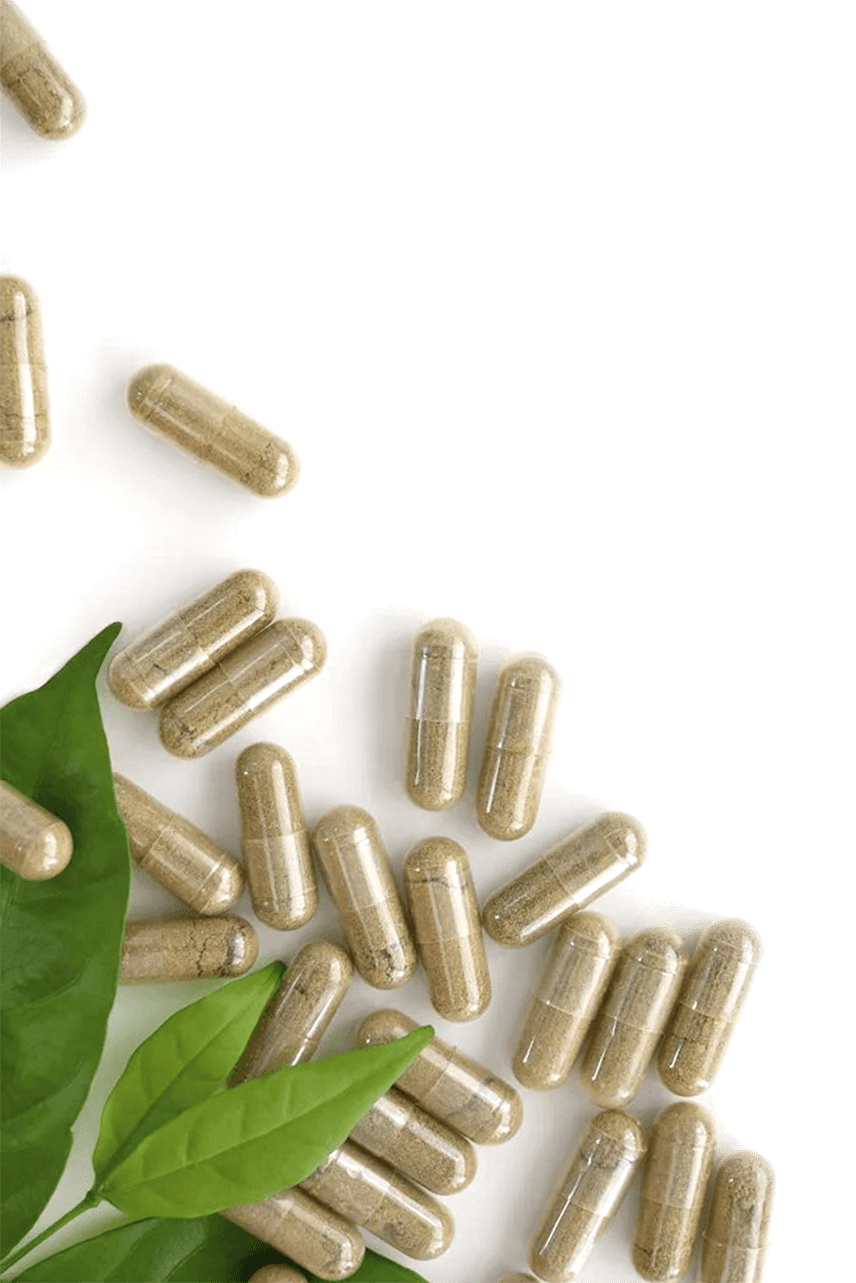 Shaoxing Zhongya Capsule Co., Ltd.